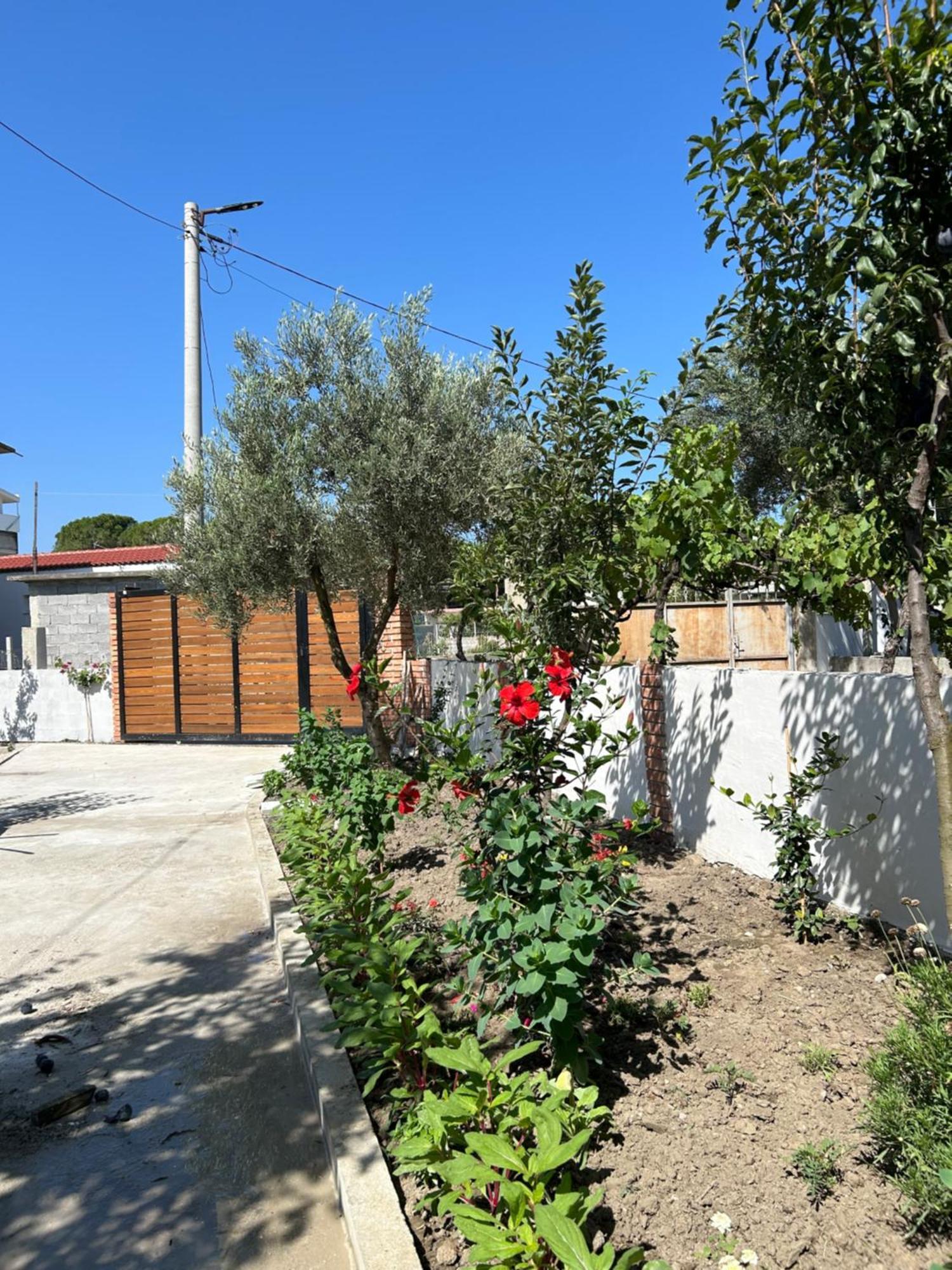 Vila Roan Vlore Luaran gambar